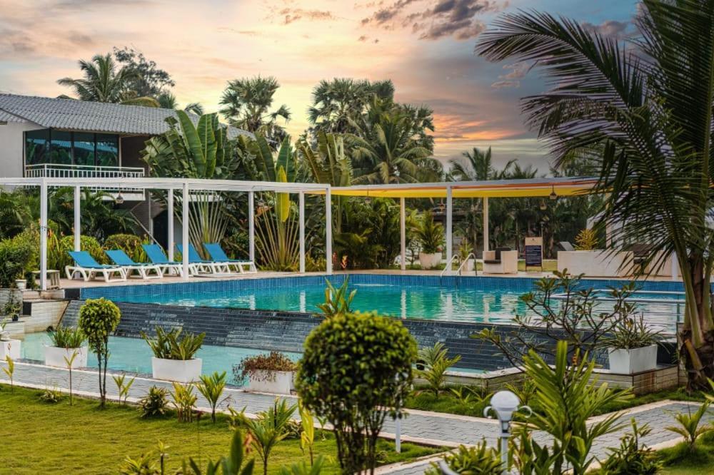 Foxoso La Beach Resort & Spa กัวเก่า ภายนอก รูปภาพ
